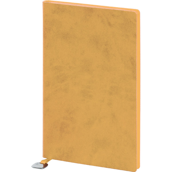 Tarihsiz Defter Krem Metal